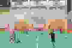 448201299_398220343182243_7450720592309541943_n